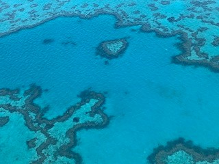 Explore the Best of the Whitsundays with The Boathouse Apartments