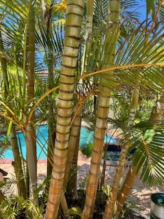 3 Bedroom Private Ground Floor Beachfront with A/c 02