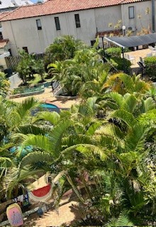 2 Bedroom Pool and Ocean Views 21