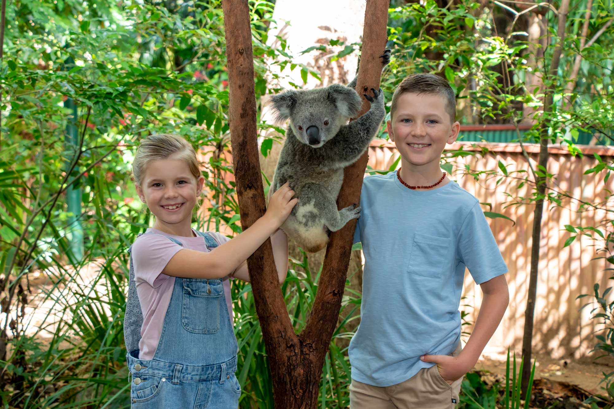 Currumbin Wildlife Sanctuary