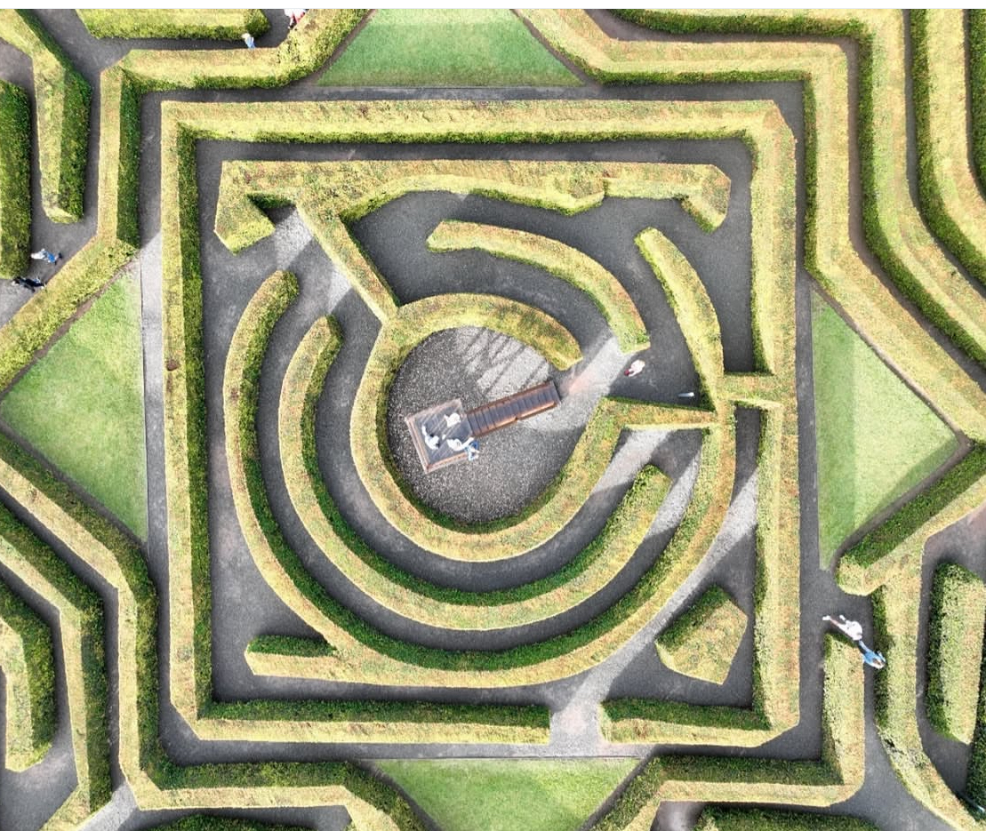 Bellingham Maze
