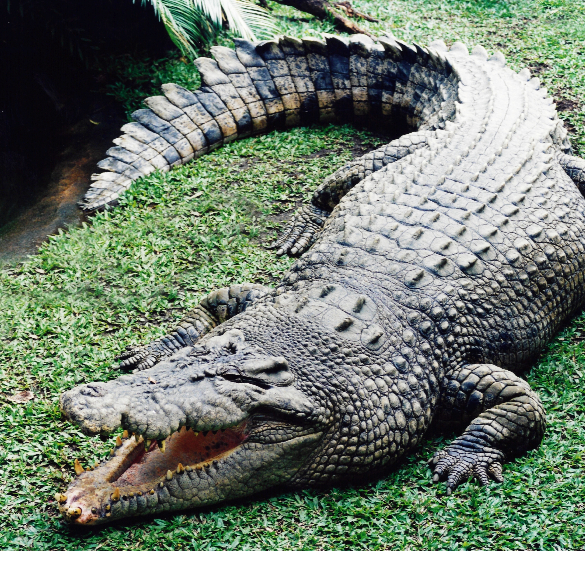 Australia Zoo
