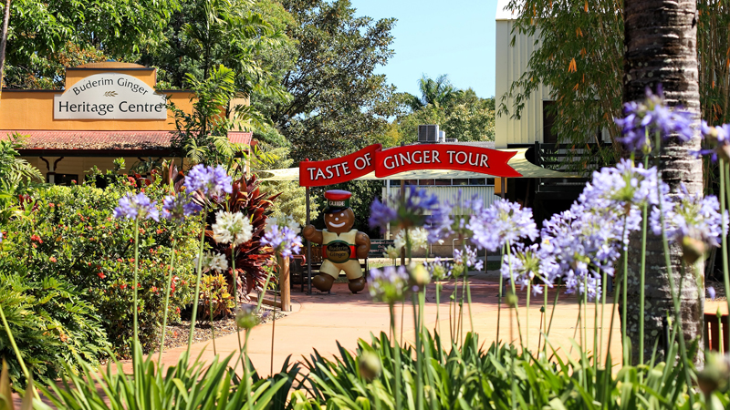 The Ginger Factory