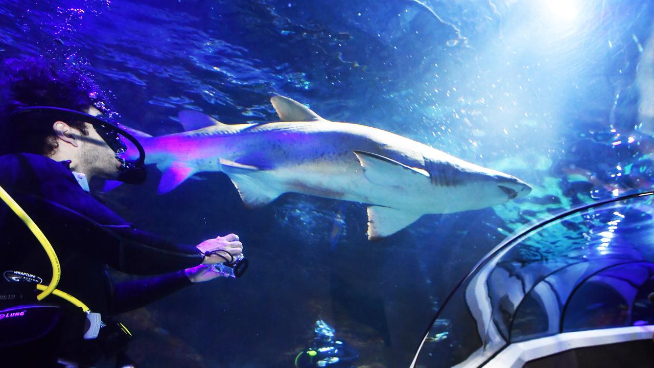 SeaLife Aquarium
