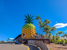 The Big Pineapple