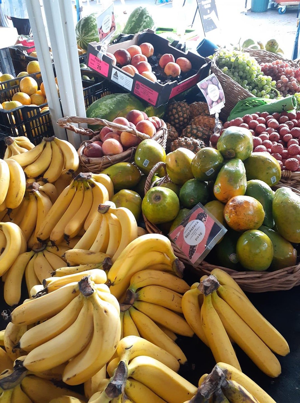 Noosa Farmers Market