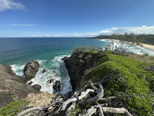 Walk the Noosa National Park - Coastal Headlands