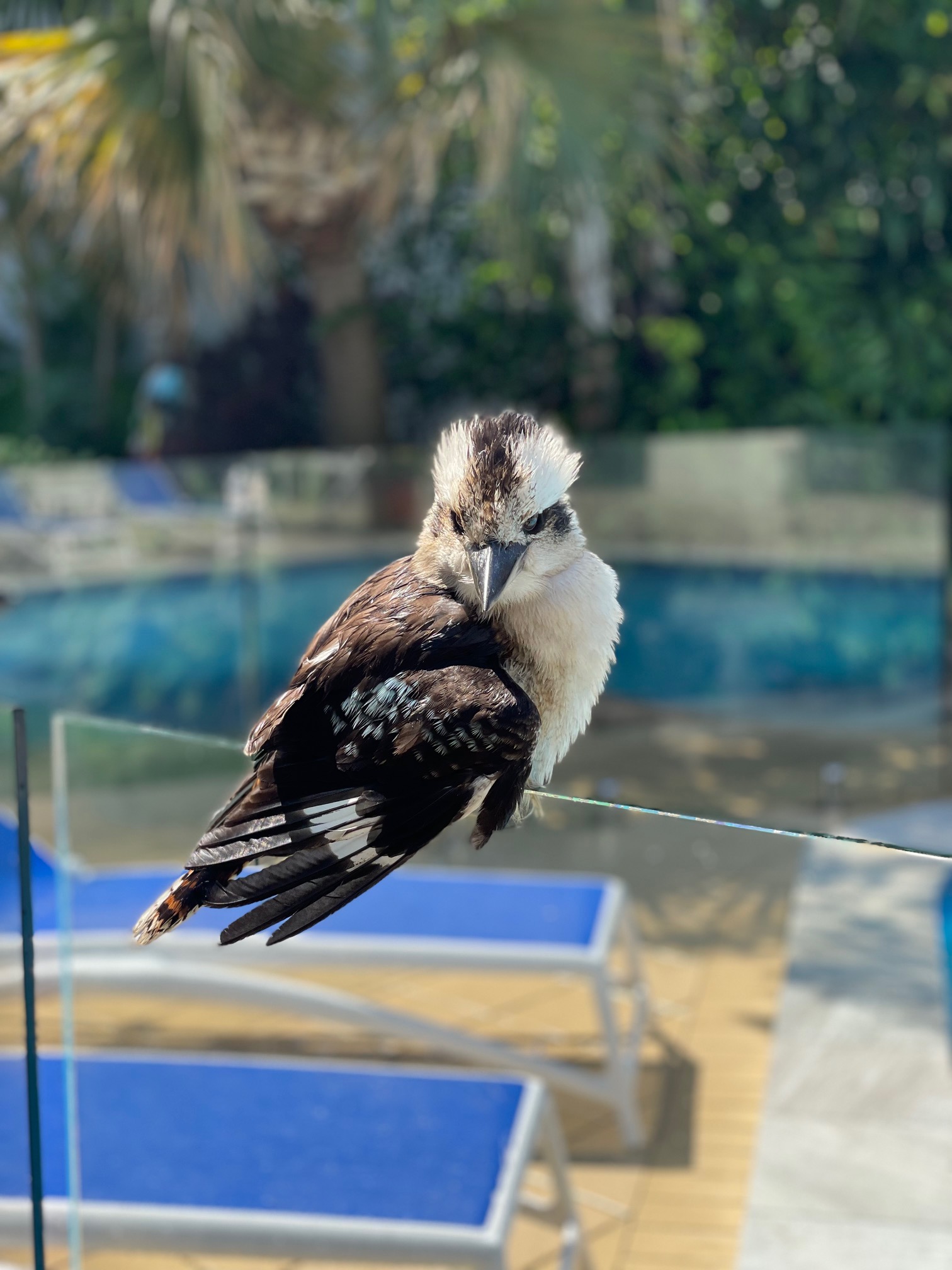Guest Reviews
