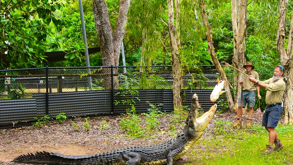 Billabong Sanctuary