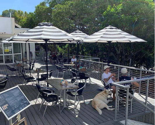 The Deck