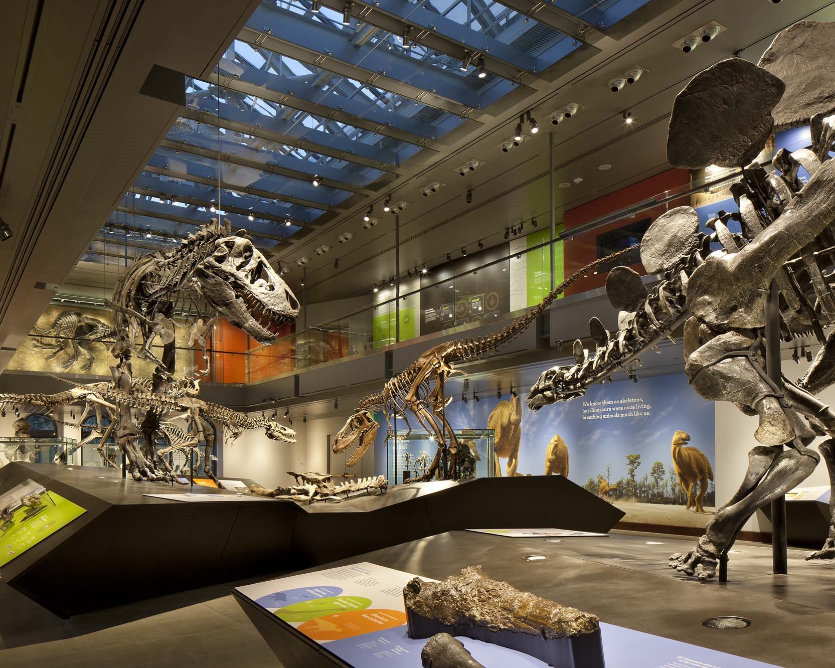 Carlton - Melbourne Museum