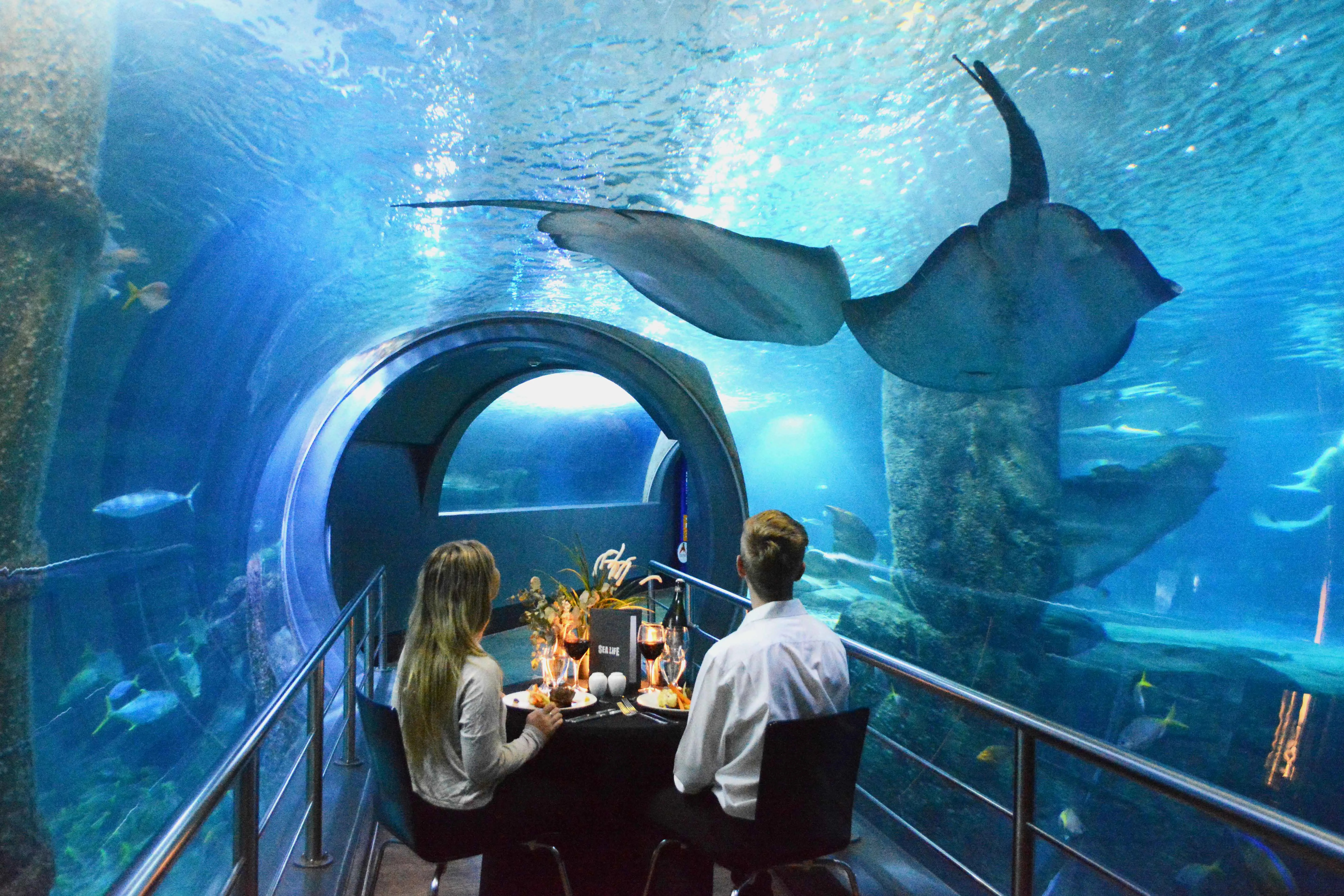 CBD - SEALife Aquarium