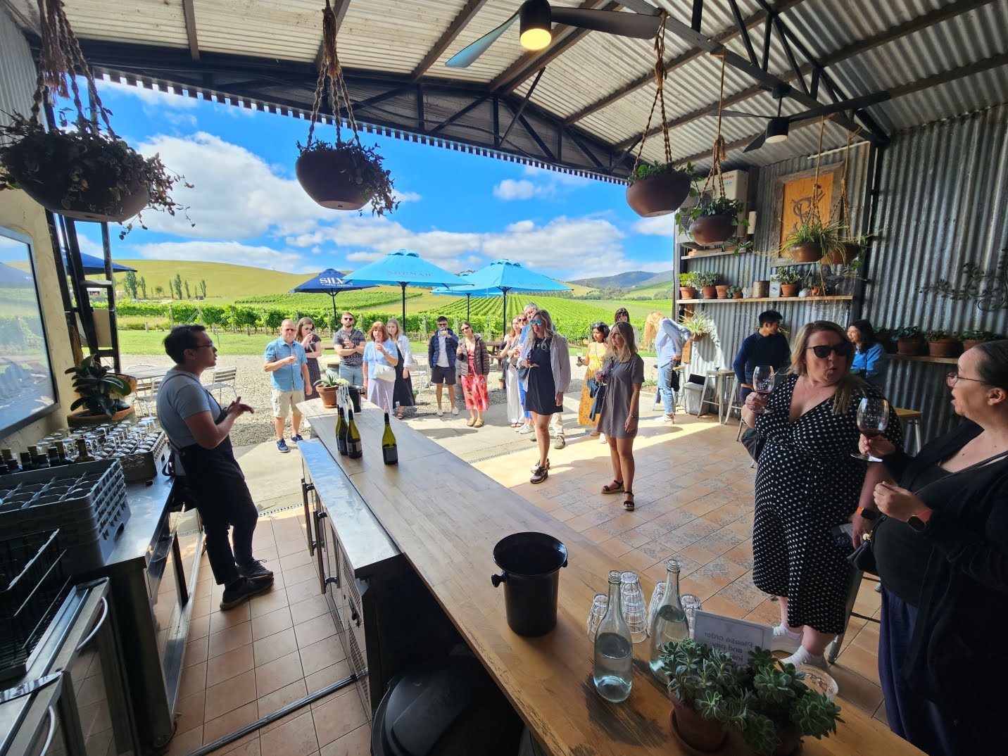Red Carpet Yarra Valley Wine Tours