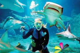 UNDERWATER WORLD