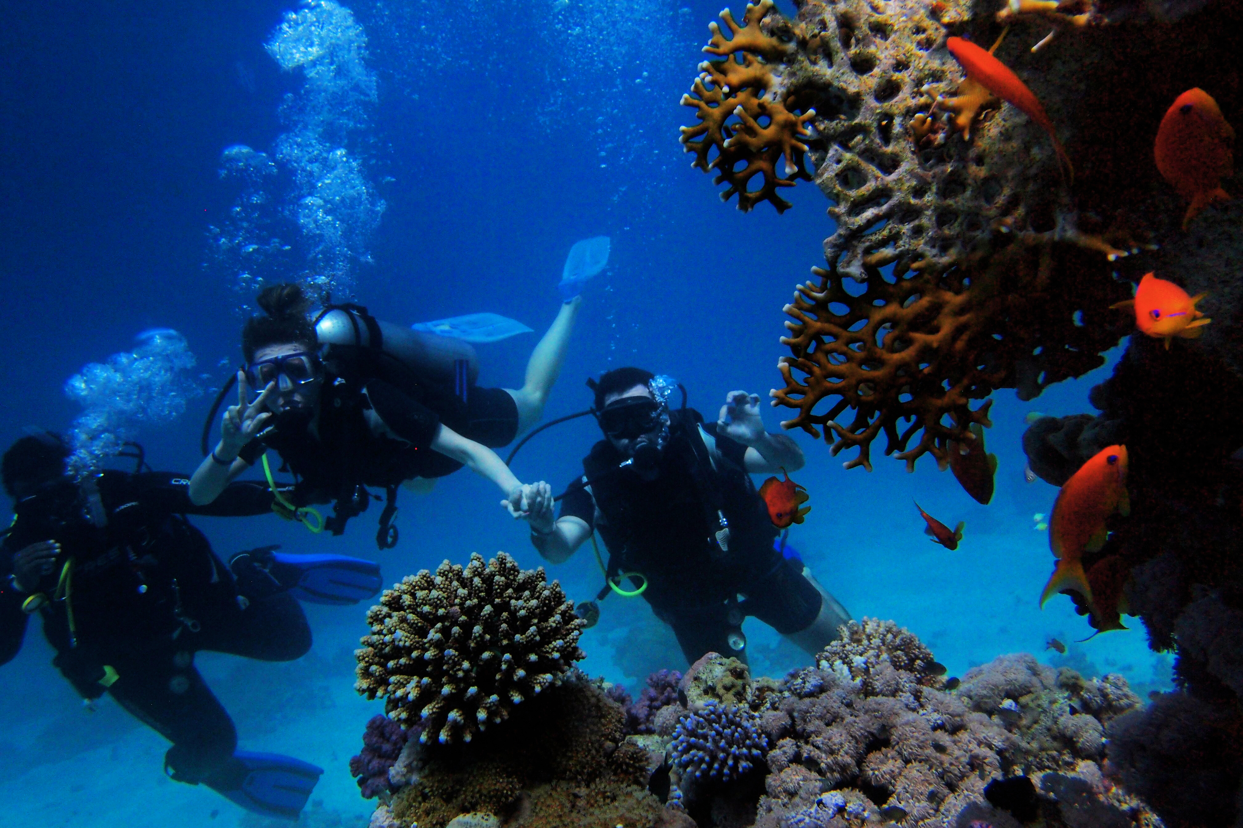 Great Barrier Reef