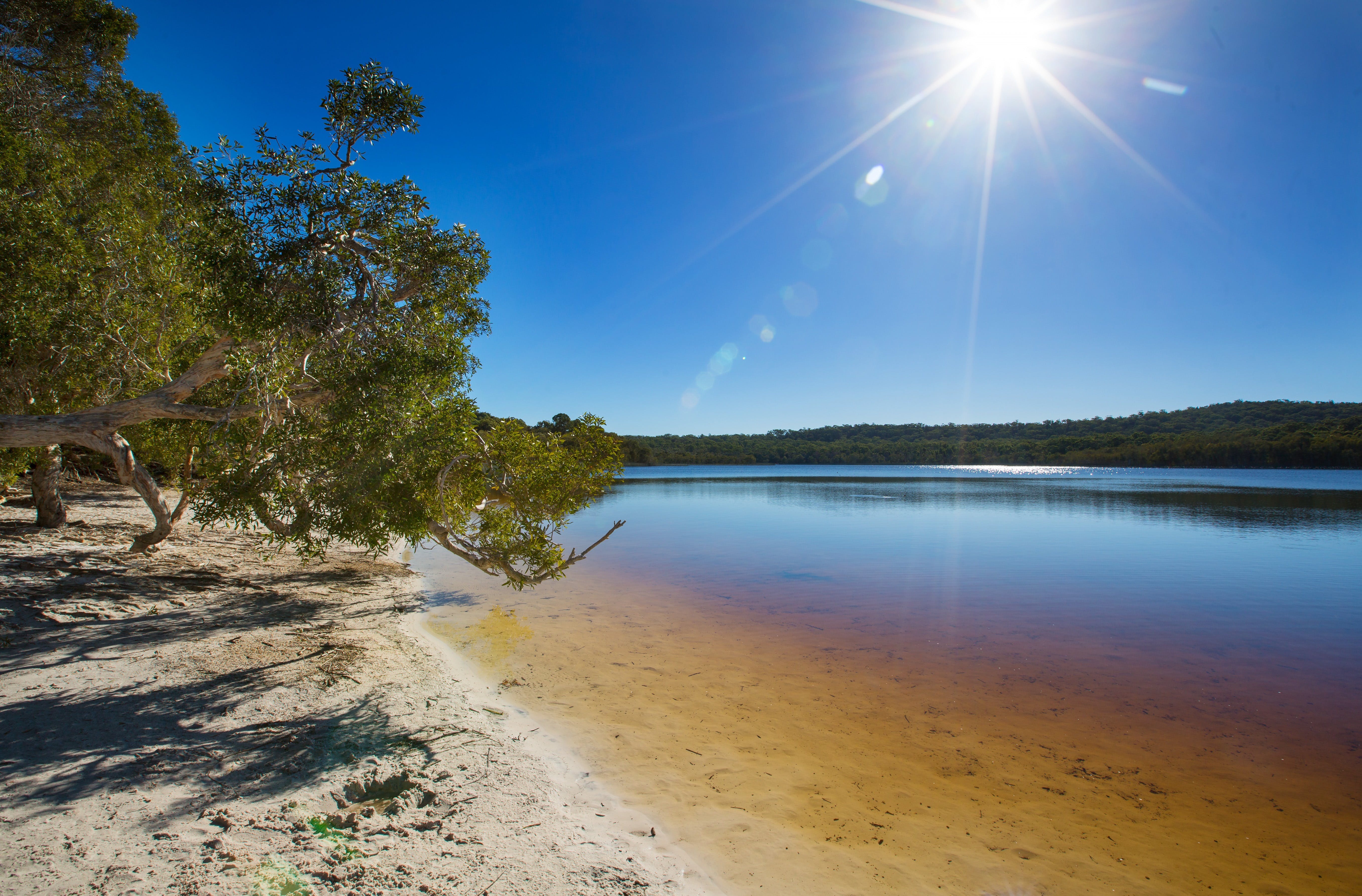 Bummiera (Brown Lake)