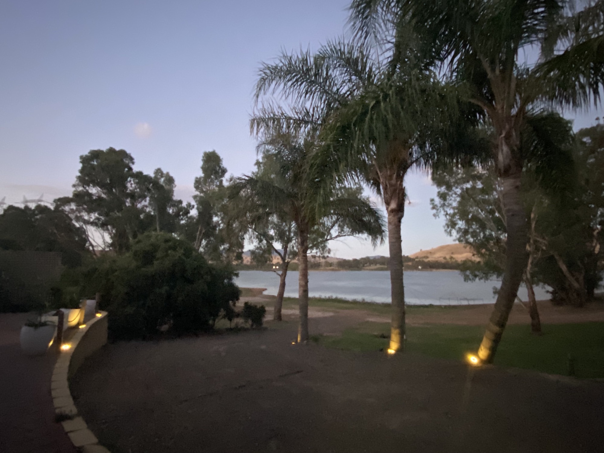 Lakefront Palms