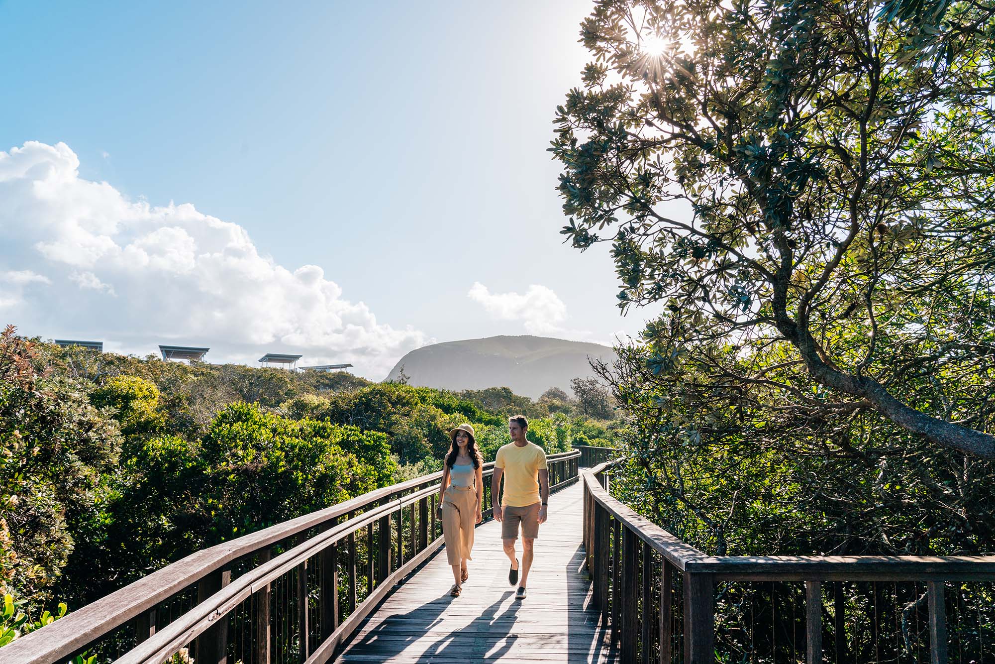 Hike Mount Coolum