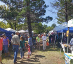 patagoniafallfestival