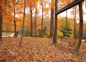 Fall colors at Glenlaurel Inn.