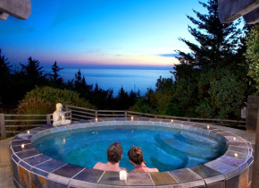 Relax in the hot tub at WildSpring Guest Habitat.