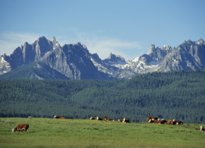 View of the Sawtooth Mountains at Triangle C Ranch Log Cabins.