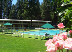 Outdoor pool at Long Barn Lodge.