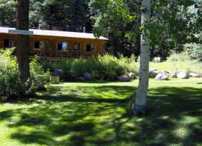 Cabin exterior at Lone Wolf Cabins and Getaway.