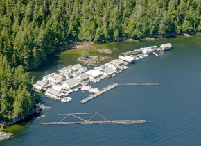 Aerial View of Black Gold Lodge