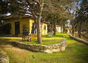 Cabins at Cliffview Resort.