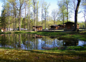 Campground and cabins view at Yogi at Shangri-La.