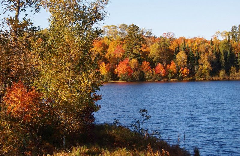 Fall colors at Nutmeg Country Inn.
