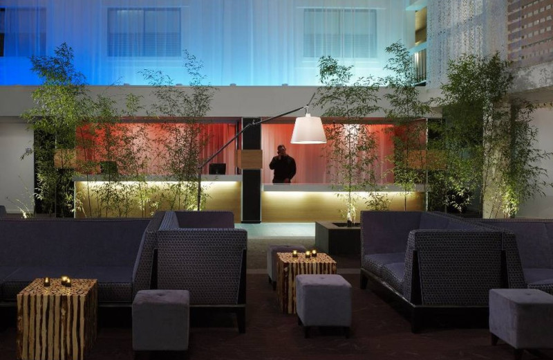 Lobby view at The Domain Hotel.