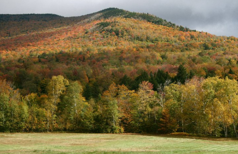 View of fall leaves on the hills at The Red Clover Inn Restaurant & Tavern.