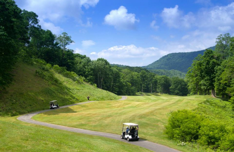 Golf near Snowshoe Properties Management.