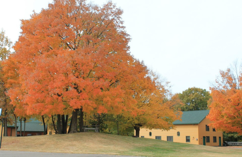 Cabins at McQuoid's Inn & Event Center.