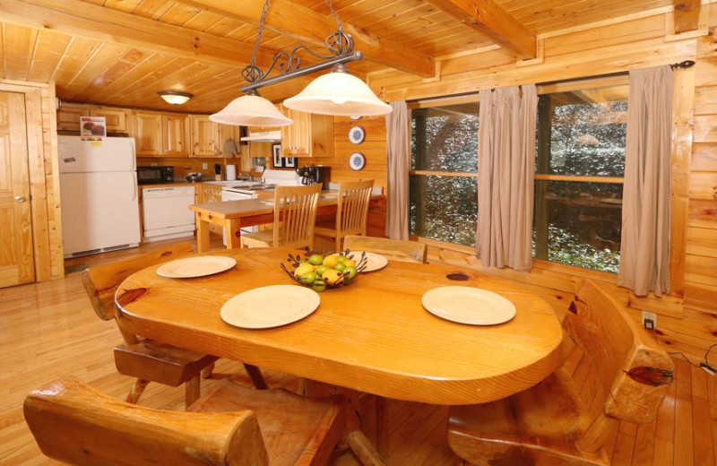 Cabin kitchen at Little Valley Mountain Resort.