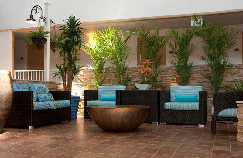 Tropical Oasis at Quality Inn Oceanfront Ocean City.