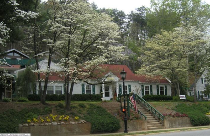 Exterior view of Black Forest Bed & Breakfast & Luxury Cabins.