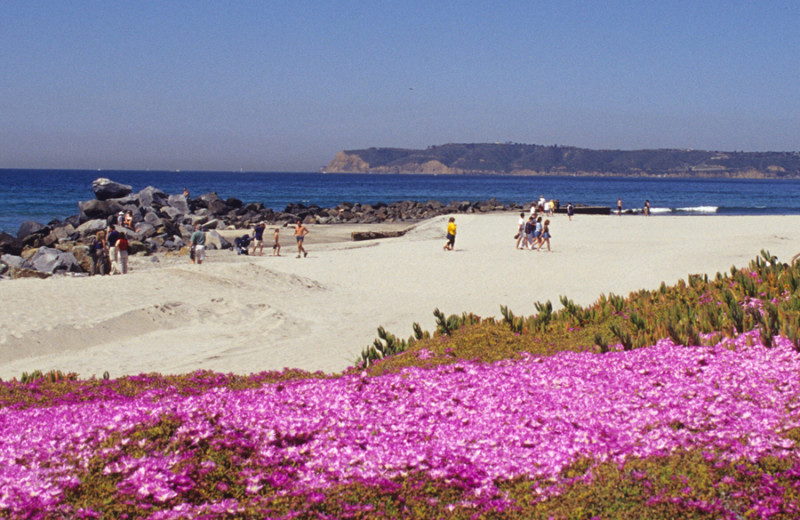 The beach at Glorietta Bay Inn.