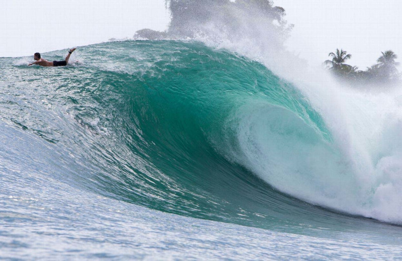 Surfing at Bocas Bali Resort.