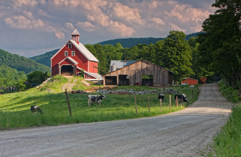 Scenic view at The Red Clover Inn & Restaurant.