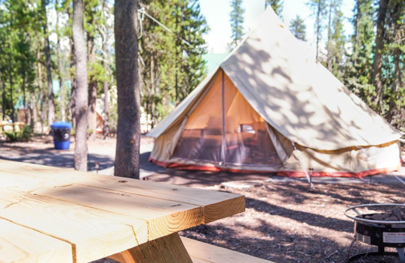 Yurts at Elk Lake Resort.