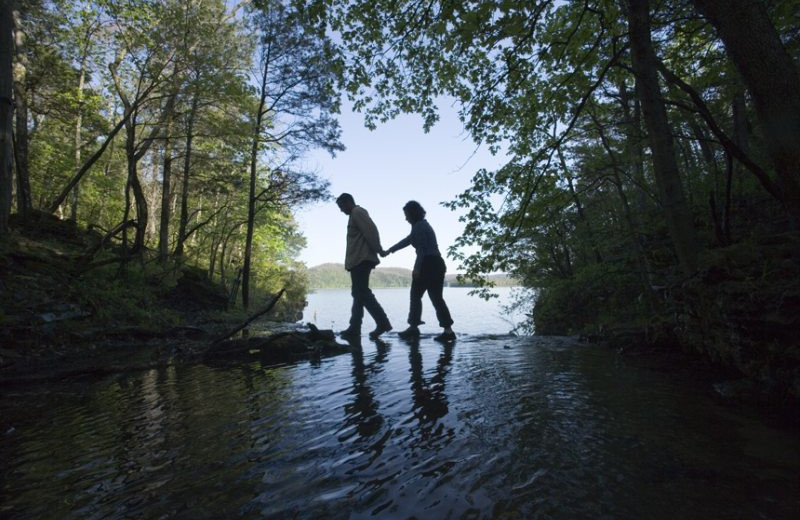 Forest hikes at Stonewater Cove Resort.