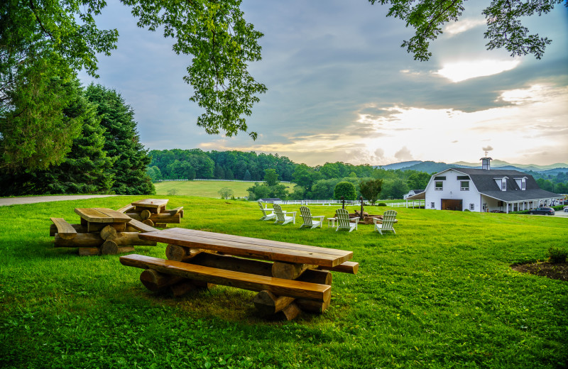 Grounds at The Horse Shoe Farm