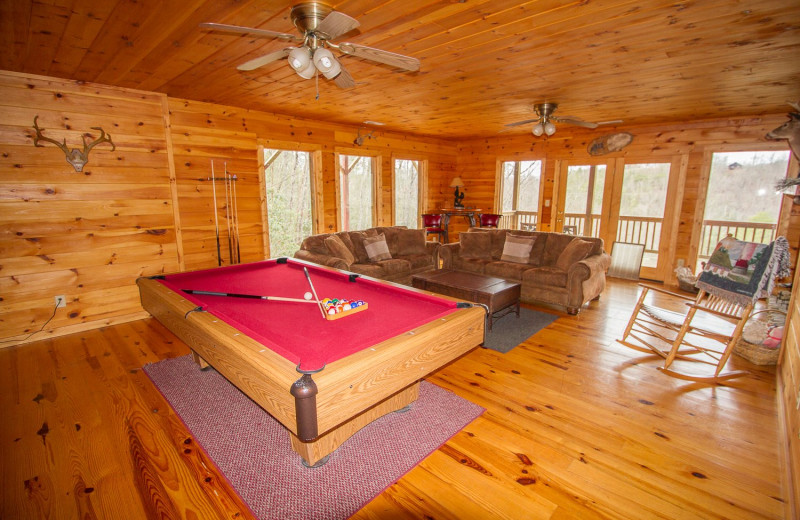 Rental living room at Cobbly Nob Rentals.