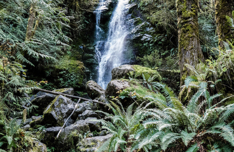 Waterfall near Canterbury Inn.