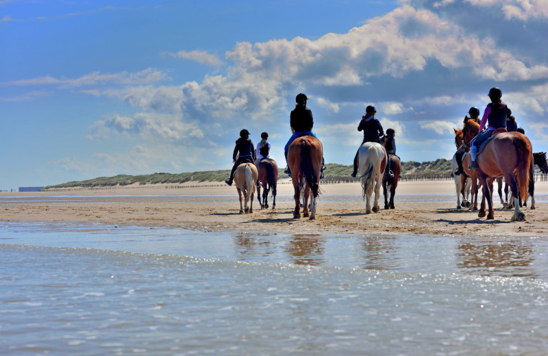 Horseback riding at Sonoma Coast Villa & Spa Resort.