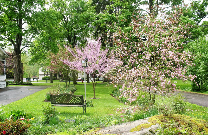 Spring time at Stonegate Bed & Breakfast