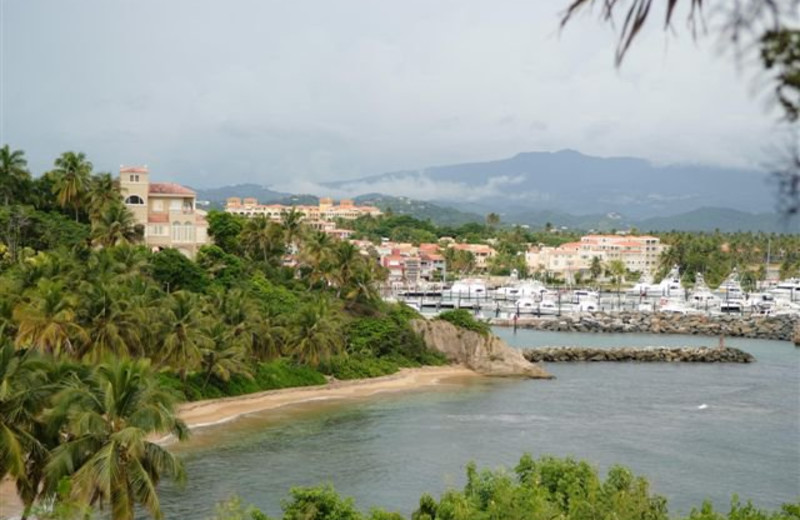 Yacht Club Near Club Cala de Palmas